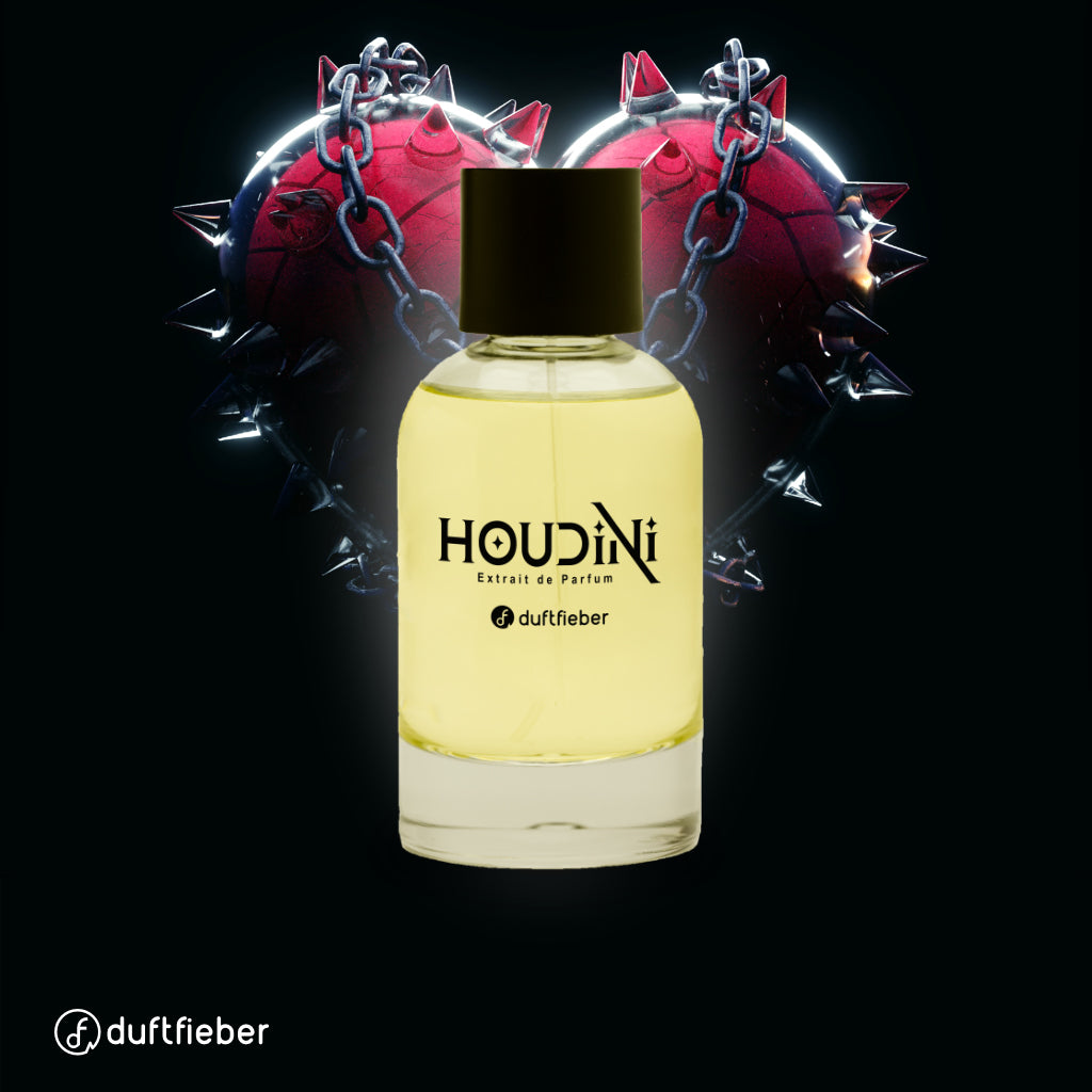 HOUDINI