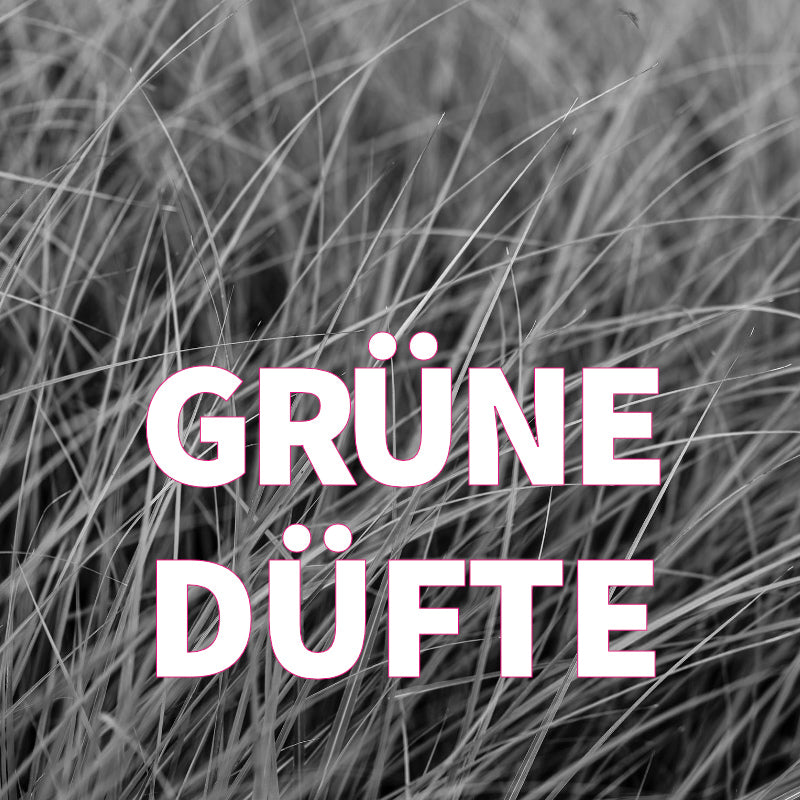 Duftfieber-Kategorie Bild- Grüne Düfte- mit Gräsern
