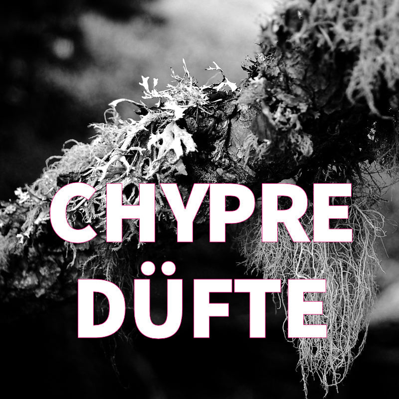 Duftfieber-Chypre Düfte Kategorie-Abbilung von Eichenmoos