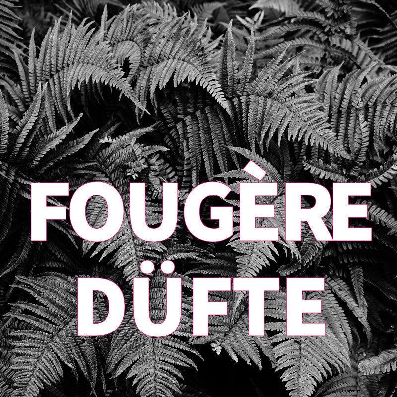 Duftfieber-Fougère Düfte Kategorie-Abbildung vonn Farnen