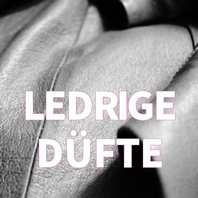 Duftfieber- Ledrige Düfte Kategorie-Abbildung von Leder